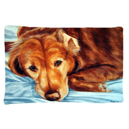 Carolines Treasures Carolines Treasures AMB1040PILLOWCASE Golden Retriever by Tanya & Craig Amberson Fabric Standard Pillowcase AMB1040PILLOWCASE